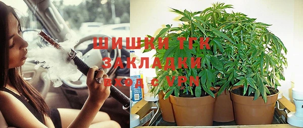 амф Абдулино
