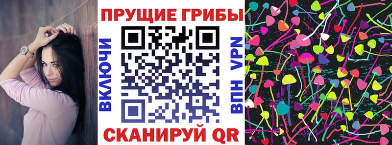 купить Моршанск Галлюциногенные грибы Cubensis