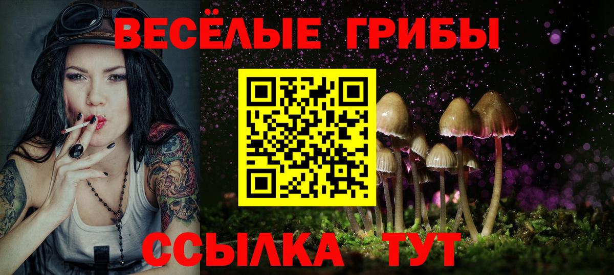 Псилоцибиновые грибы мухоморы  Вход с VPN  как найти закладки  Моршанск 