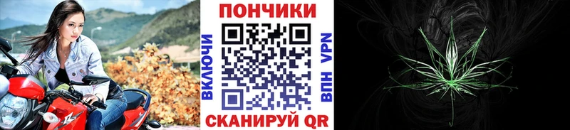 Шишки марихуана индика  Моршанск 
