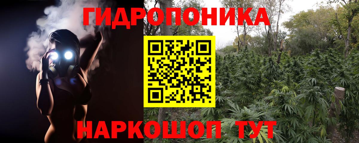 Шишки марихуана тримм  Вход с VPN  Шишки марихуана семена  Моршанск 